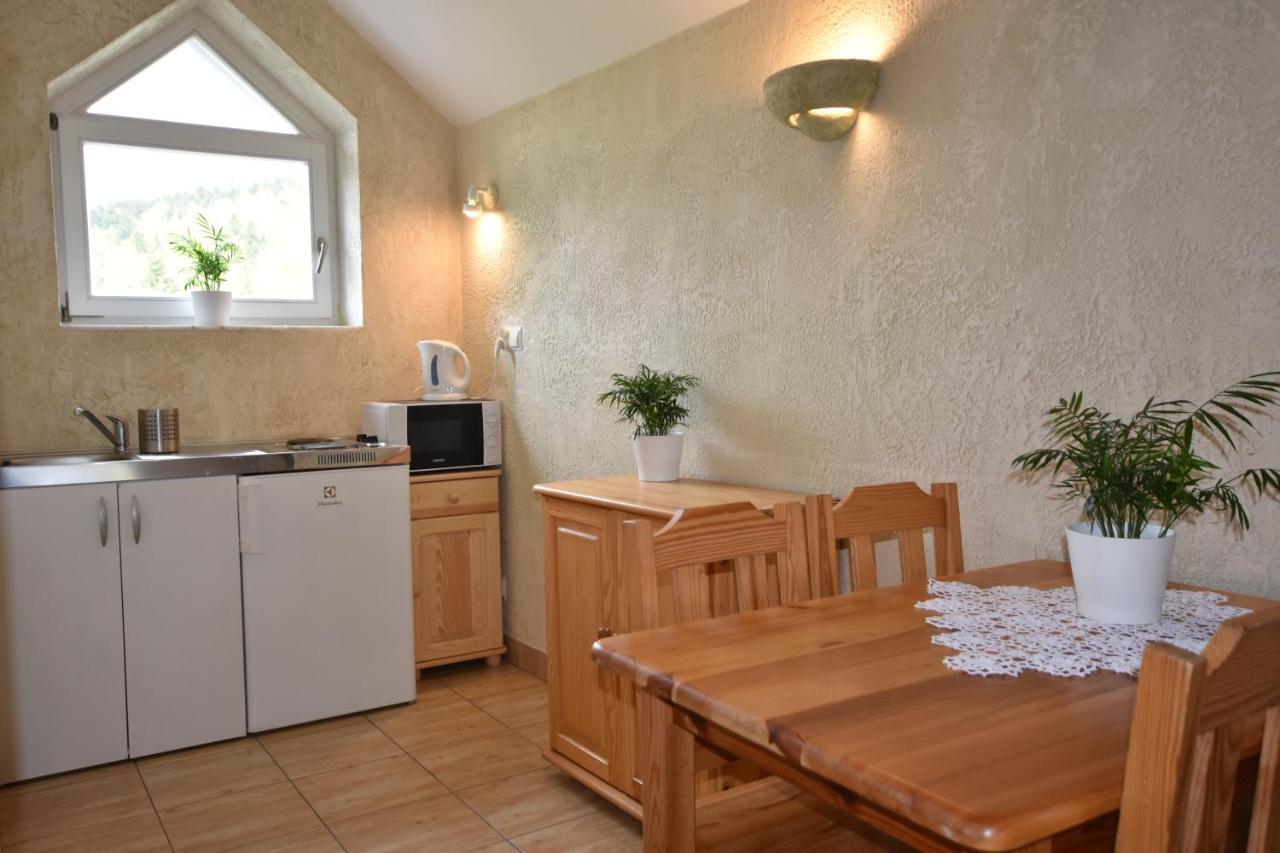 Apartamenty Czyrna Przy Gondoli ชเจอร์ค ภายนอก รูปภาพ